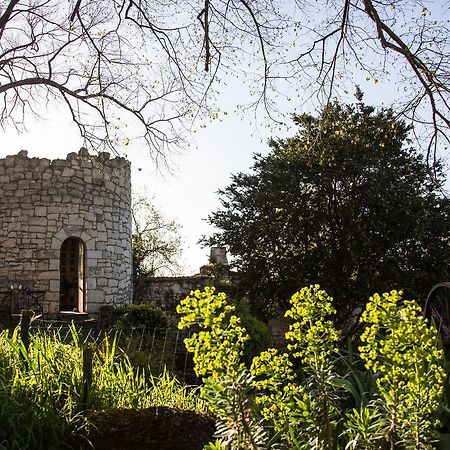 ソミュール La Grande Maison D'Arthenay Bed & Breakfast エクステリア 写真