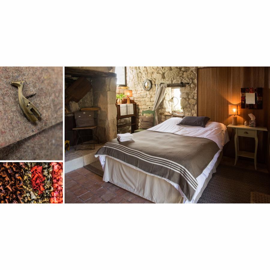 ソミュール La Grande Maison D'Arthenay Bed & Breakfast エクステリア 写真